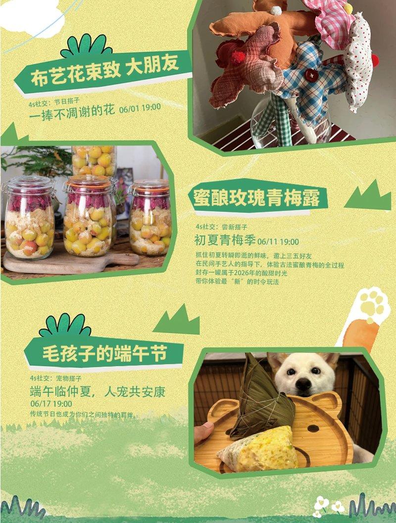 4s社交：宠物搭子——毛孩子的端午节