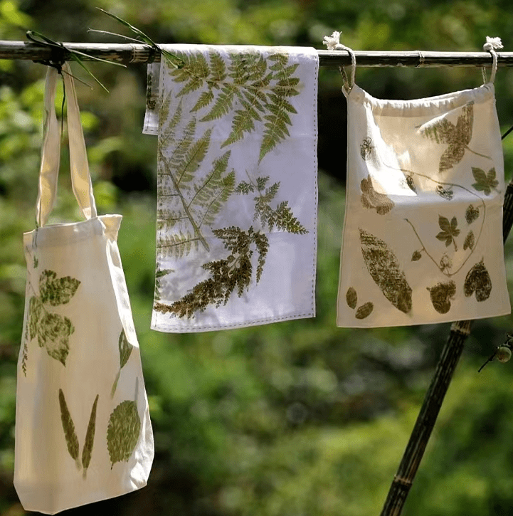 【青年友好城市营造】拓花草之印,染自然之美——非遗植物拓染diy