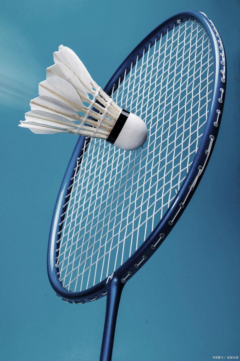 青年社交一羽毛球交流赛