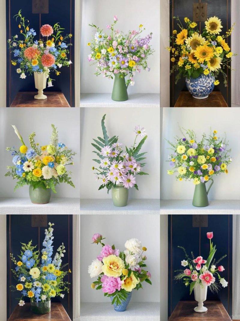 秋菊雅植·种一盆清雅入怀