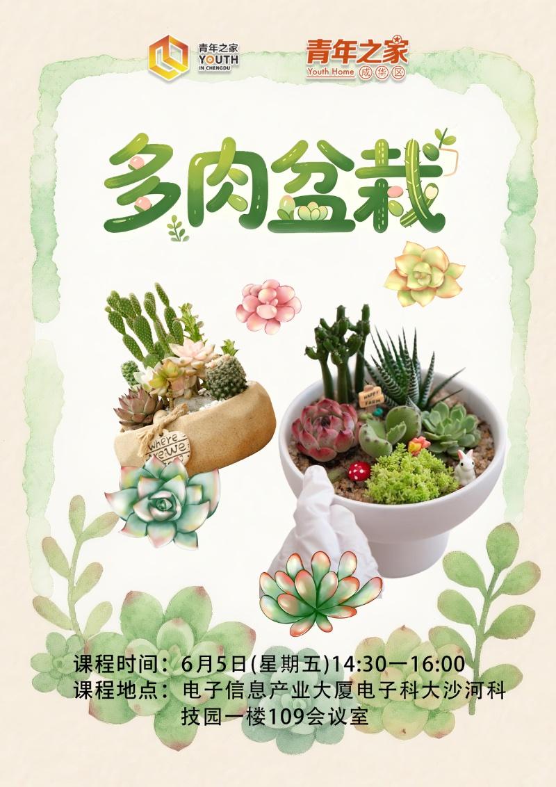 多肉盆栽