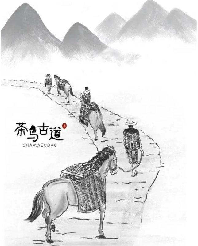 古道茶香——茶马商路的千年回响