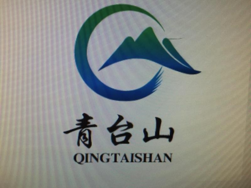 大面街道青台山村志愿服务