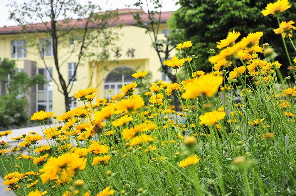 成都外国语学院图书馆志愿者服务队