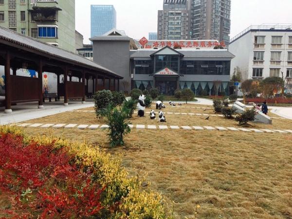 猛追湾街道培华路社区