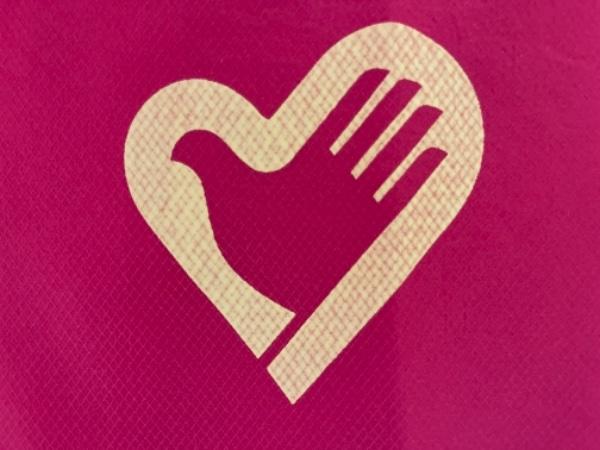 春熙路街道盐道街社区青年志愿服务队