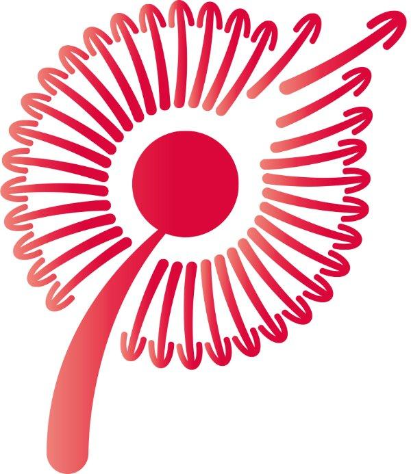 成都市天府新区蒲公英青年志愿者协会